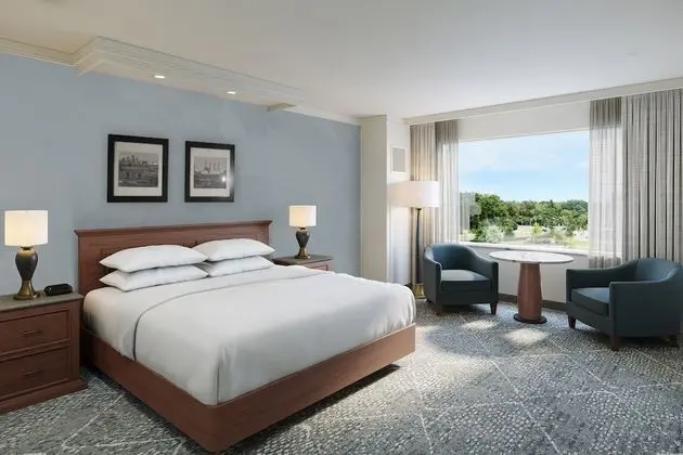 Premium Oda, 1 En Büyük (King) Boy Yatak, Sigara İçilebilir (Las Vegas Tower)