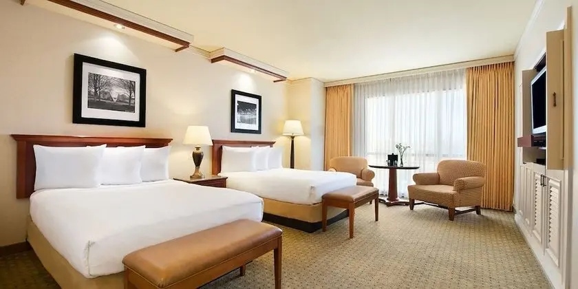 Premium Oda, 1 En Büyük (King) Boy Yatak, Sigara İçilmez (Las Vegas Tower)