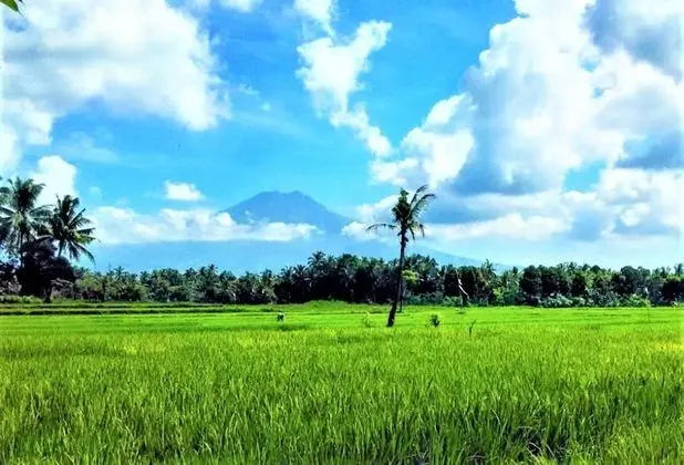 Standard Oda, Ortak Banyo