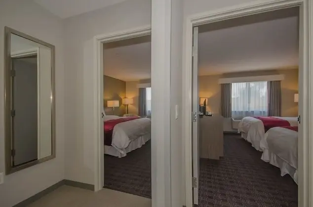 Süit, Birden Çok Yatak, Sigara İçilmez, Buzdolabı ve Mikrodalga (1 King Bed and 2 Double Beds)