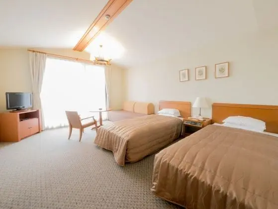 Standard Oda, 2 Tek Kişilik Yatak, Sigara İçilmez (Sofa bed for 3 more ppl,Western style)