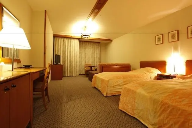 Standard Oda, 2 Tek Kişilik Yatak, Sigara İçilmez (Sofa bed for 3 more ppl,Western style)
