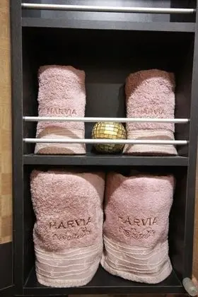 1 Bedroom Deluxe Suite