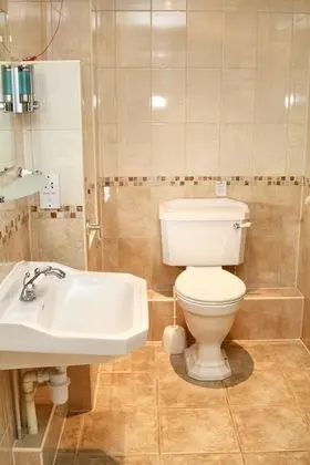 Superior Tek Büyük Yataklı Oda