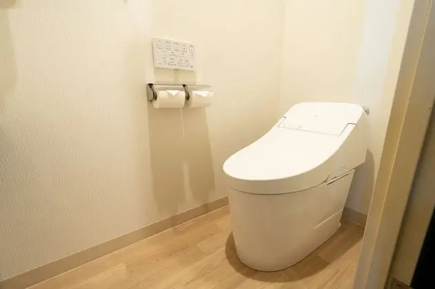 Deluxe İki Ayrı Yataklı Oda, Sigara İçilmez