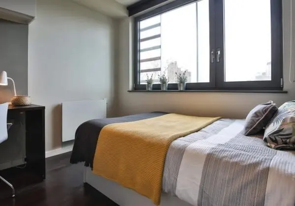 Çift ​​kişilik Standard