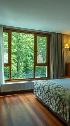 Deluxe Oda, Dağ Manzaralı