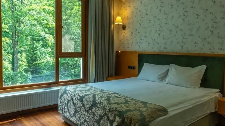 Deluxe Oda, Dağ Manzaralı