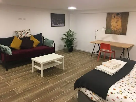 Deluxe Stüdyo, 1 Büyük (Queen) Boy Yatak, Engellilere Uygun, Zemin Kat