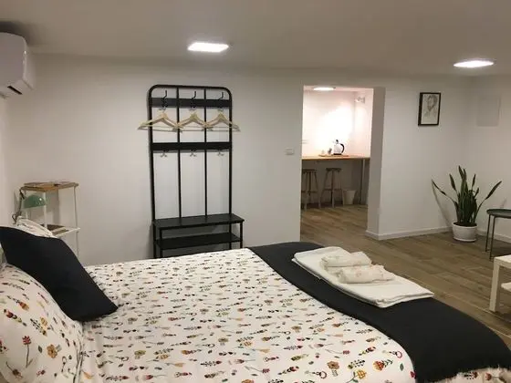 Deluxe Stüdyo, 1 Büyük (Queen) Boy Yatak, Engellilere Uygun, Zemin Kat