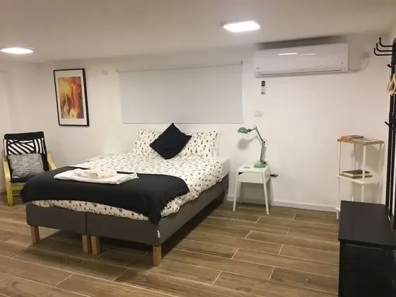 Deluxe Stüdyo, 1 Büyük (Queen) Boy Yatak, Engellilere Uygun, Zemin Kat