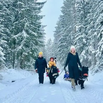 Ev, Birden Çok Yatak