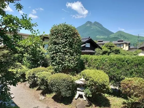 Traditional Oda, Sigara İçilmez, Ortak Banyo