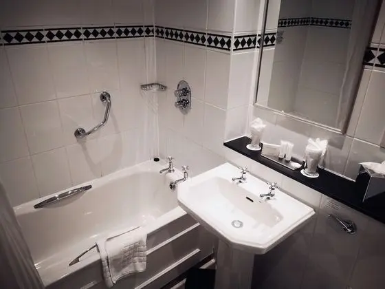 Executive Tek Büyük veya İki Ayrı Yataklı Oda (With Spa access)