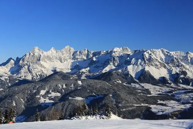 Two-Bedroom Apartment Dachstein