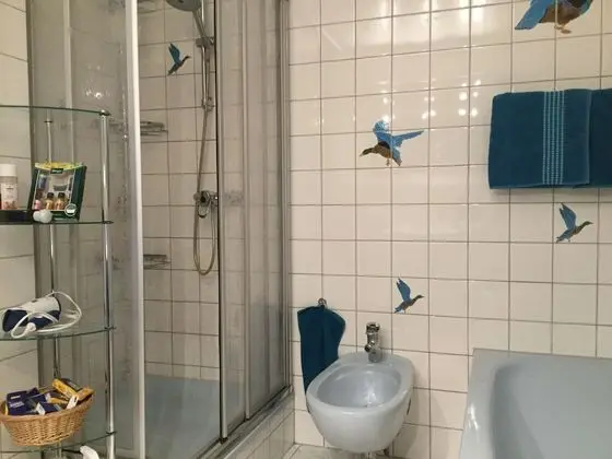Ev