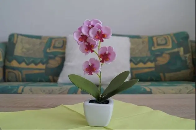 Apart Daire (Fewo 1)