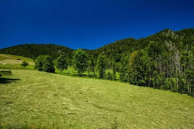 Apart Daire (Wetterkreuz)