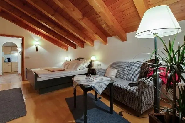 Apart Daire, 1 Yatak Odası