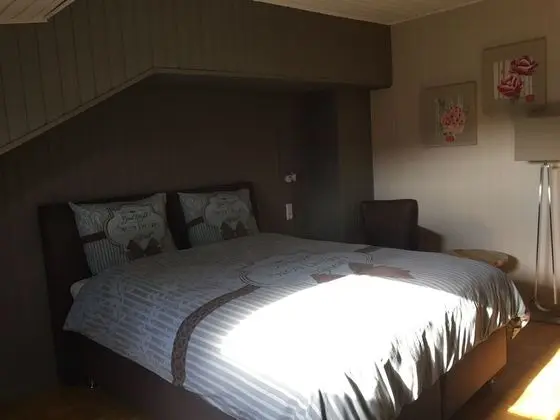 Deluxe Tek Büyük Yataklı Oda (De Amethist Kamer)