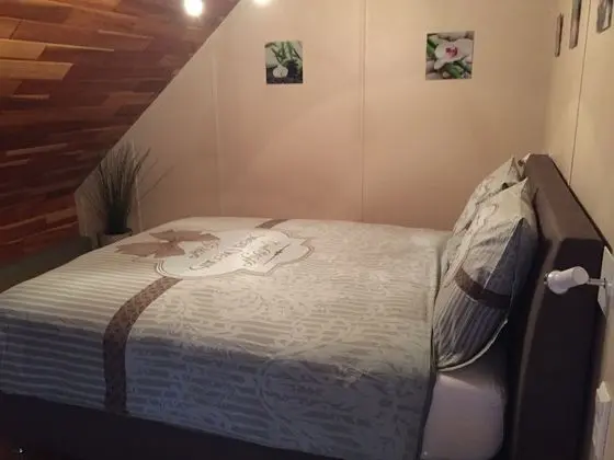 Deluxe Tek Büyük Yataklı Oda (De Azuriet Kamer)