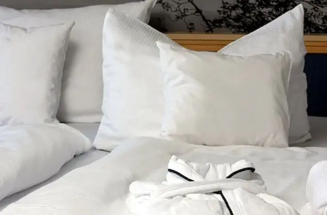 Basic Tek Kişilik Oda (Haupthaus)