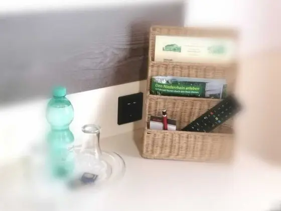 Deluxe Tek Kişilik Oda, Özel Banyo, Bahçe Manzaralı