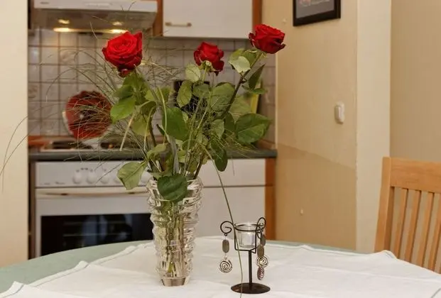 Daire, 1 Yatak Odası (Siebensteinkopf)