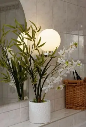 Daire, 1 Yatak Odası (Siebensteinkopf)