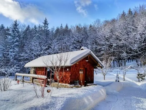Daire, 1 Yatak Odası (Siebensteinkopf)