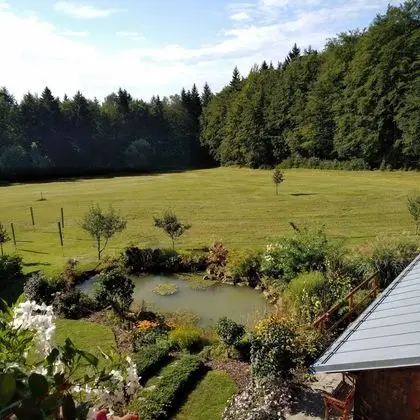 Daire, 1 Yatak Odası (Siebensteinkopf)