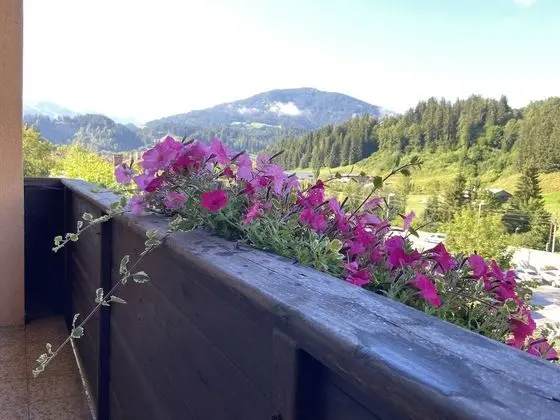 Apart Daire, Özel Banyo, Dağ Manzaralı