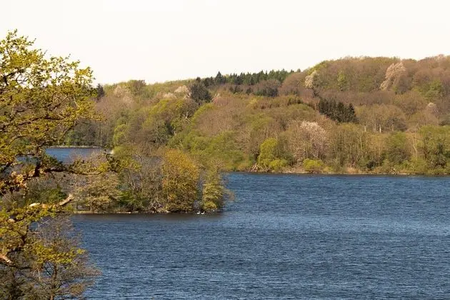 Deluxe Apart Daire (10)