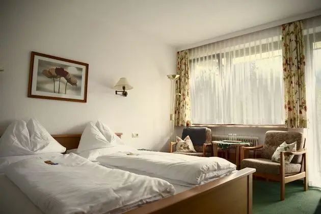 Standard Tek Büyük Yataklı Oda, Balkon, Dağ Manzaralı