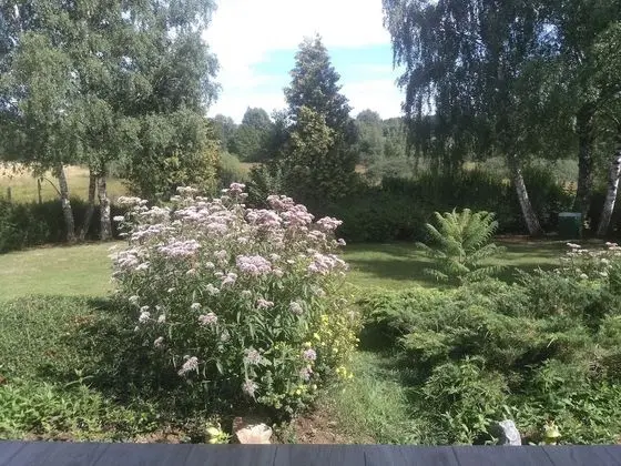 Classic Apart Daire, 2 Yatak Odası, Engellilere Uygun (Muehltalblick incl.30€ cleaning fee)