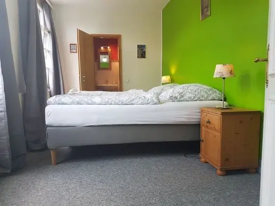 Basic Tek Büyük Yataklı Oda, 1 Yatak Odası (cleaning fee included)