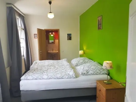 Basic Tek Büyük Yataklı Oda, 1 Yatak Odası (cleaning fee included)