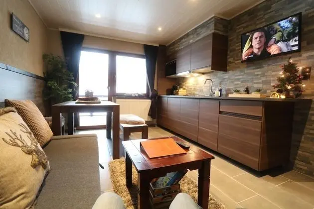 Apart Daire, 1 Yatak Odası, Teras, Dağ Manzaralı (2)