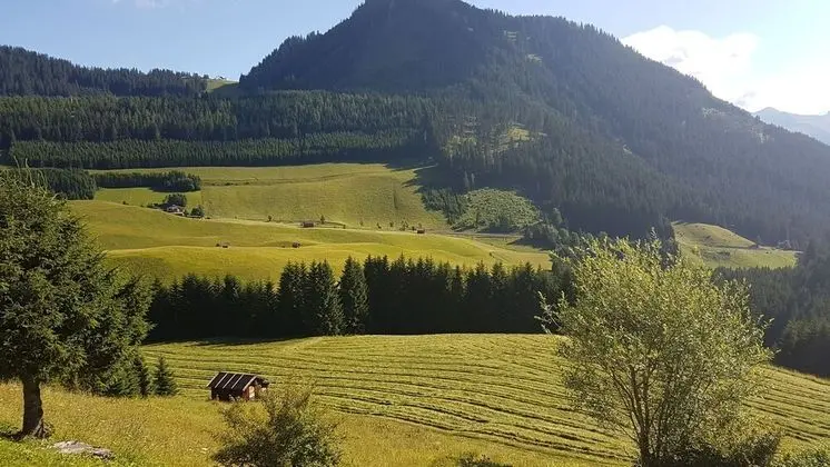 Apart Daire, 2 Yatak Odası, Balkon, Dağ Manzaralı (Apt Bergblick)