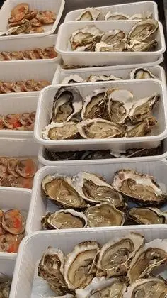 Ev, 3 Yatak Odası, Veranda