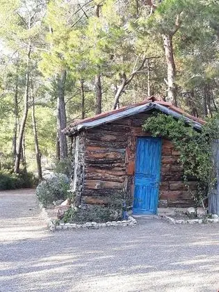 Ağaç Ev