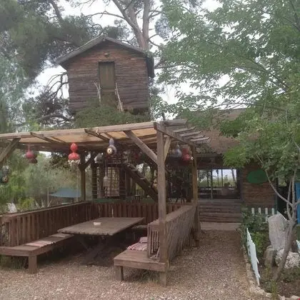Ağaç Ev