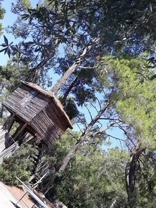 Ağaç Ev