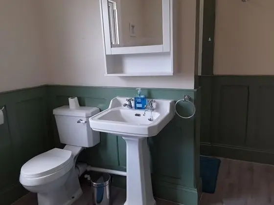Tek Büyük Yataklı Oda, 1 En Büyük (King) Boy Yatak, Özel Banyo
