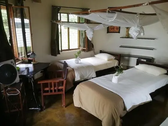 Deluxe Kır Evi