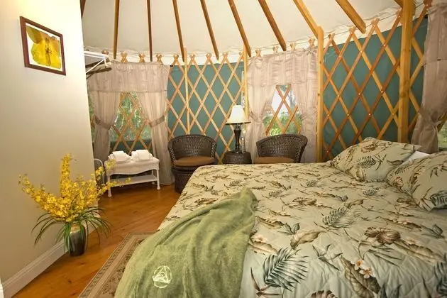Luxury Çadır