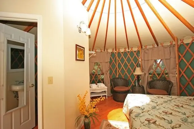 Luxury Çadır