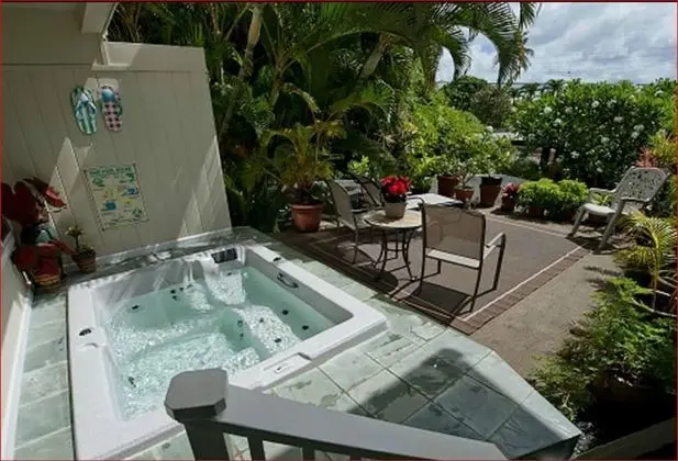 Deluxe Stüdyo, Özel Banyo (Aloha Garden)