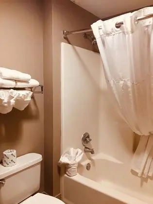 Süit, 1 Yatak Odası, Sigara İçilmez (1 King Bed)