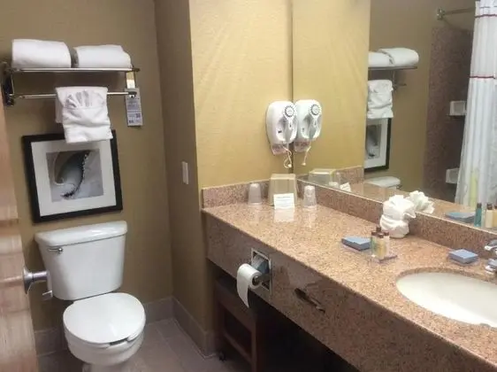 Süit, 2 Büyük (Queen) Boy Yatak, Engellilere Uygun (Efficiency,Hearing,Tub w/ Grab Bars)